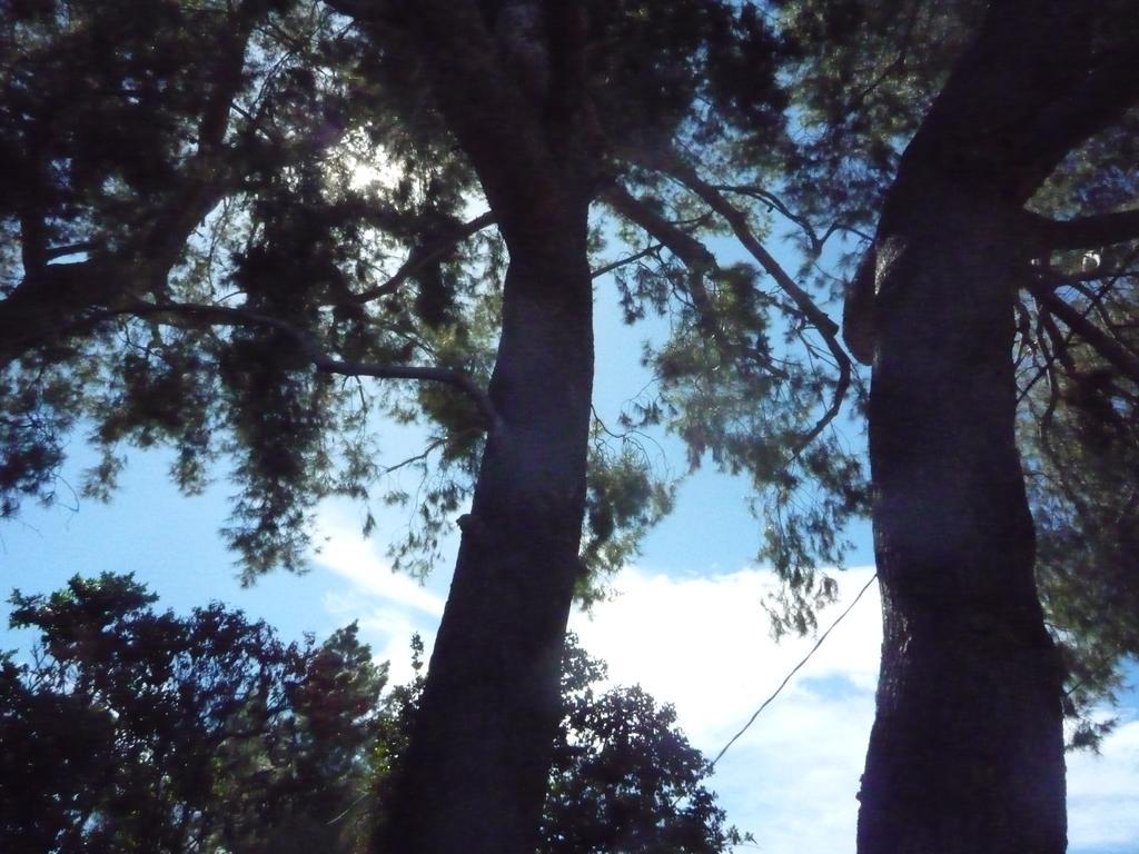 Woodland Hills Calabasas Guesthouses 로스앤젤레스 외부 사진